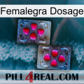 Femalegra Dosage 15